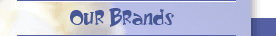 Our Brands